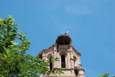 Sröche DSC_0750.JPG (109.99 KiB) 8319 mal betrachtet Ausblick auf ein Storchennest beim Kaffeetrinken auf einer Plaza im Nirgendwo