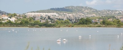 Salinas