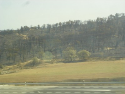 Ocata, Juli 2012 043.JPG