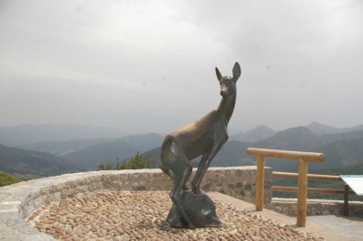 DSC_1425 Mirador del Corzo - Purto de San Glorio.JPG (98.85 KiB) 8419 mal betrachtet Mirador del Corzo - Puerto de San Glorio