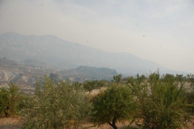 Dieses Foto habe ich um 18 Uhr gemacht. Bei uns geht inzwischen ein Aschregen nieder und die Berge kann man kaum noch erkennen.