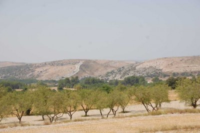 Alfafara im Norden der Provinz Alicante