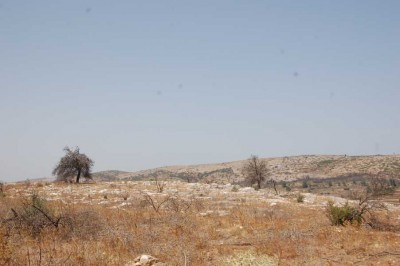 Kahle Berge, über die Anfang September 2010 die Feuerwalze ging