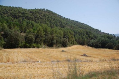 Sierra Mariola,: Stoppelfelder und Pinienwälder - eine weggeworfene Kippe und es kommt zu einem Inferno!