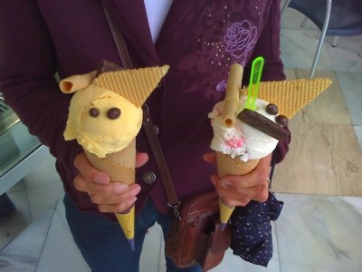 eis.jpg