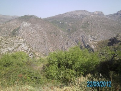 PICT0668.JPG