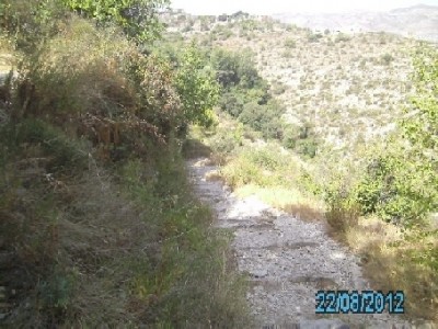 PICT0675.JPG
