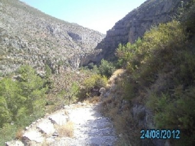 PICT0740.JPG