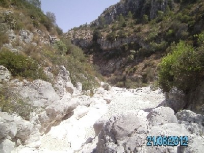 PICT0648.JPG