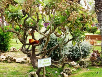 Parque de las Naciones (Foto Polarstern)