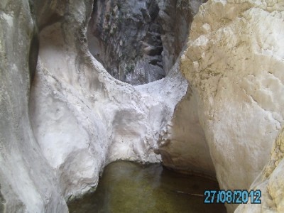 PICT0829.JPG
