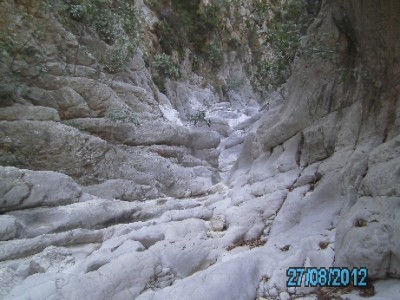 PICT0842.JPG