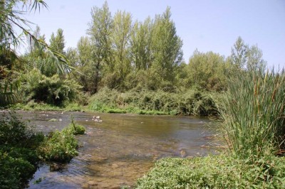 Río Serpis