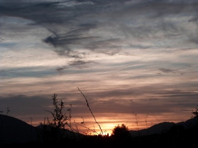 P1080071.JPG