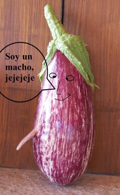 berenjena.JPG
