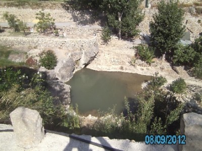 PICT1079.JPG