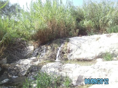 PICT1083.JPG