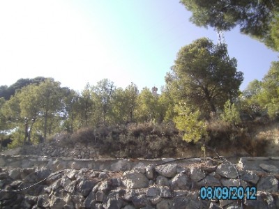 PICT1124.JPG