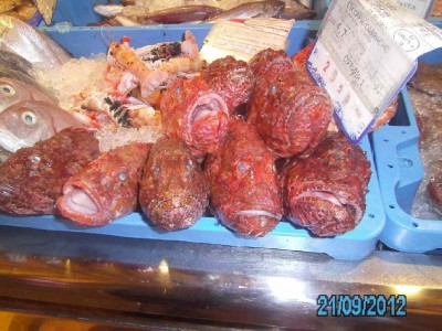 PICT1233.JPG