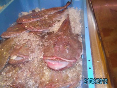 PICT1234.JPG