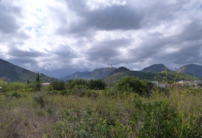 P1090125.JPG