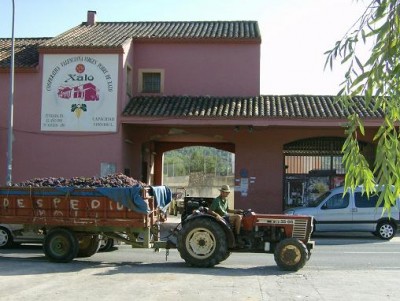 Cooperative Jalón (Foto Citronella)