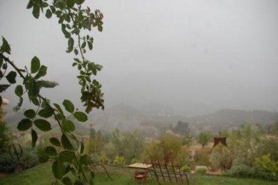 Blick aus dem Fenster