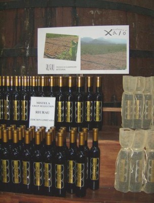 Vino tinto (Foto Citornella)