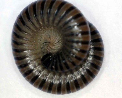 Raetsel03.jpg