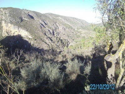 PICT1430.JPG