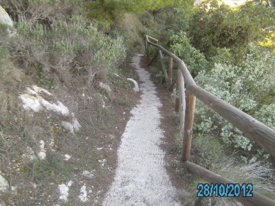 PICT1592.JPG