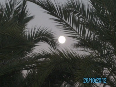 PICT1607.JPG