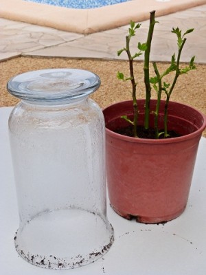 P1100002.JPG