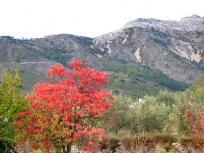P1100004.JPG