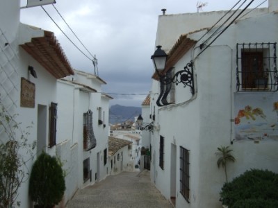 Altea-kiwi3.jpg