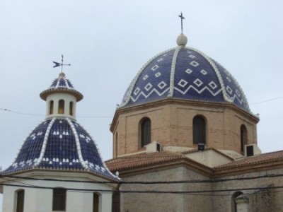 Altea-kiwi2.jpg