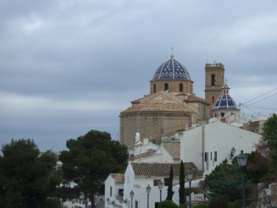 Altea-kiwi1.jpg