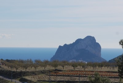 Blick auf den Peñon de Ifach, hinweg über Wein- und Mandelterrassen
