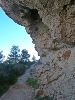 P1110347.JPG