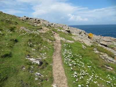 Coast Path.jpg