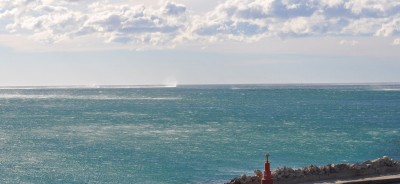DSC_0072web.jpg