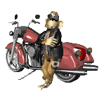 bike_25.gif