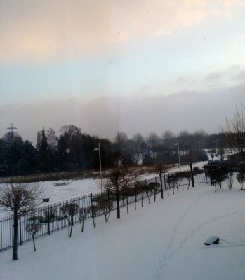 Rheinland ... Winterwunderland ?!?