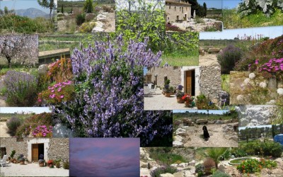 ©Villa Romani [800x600].jpg