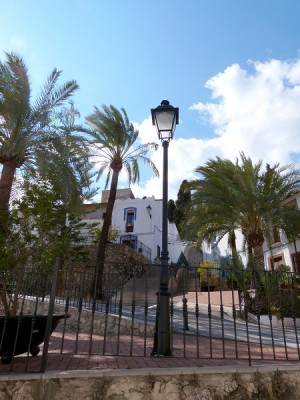 Plaza mit Palmen (Foto Citronella)