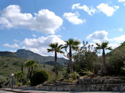 Einfahrt  &quot;Residencial L´Almunia&quot; (Foto Citronella)