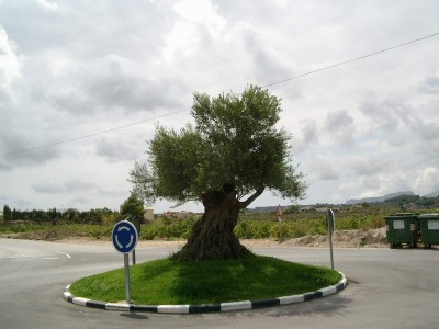 Sommerurlaub-Moraira-2005 078.JPG
