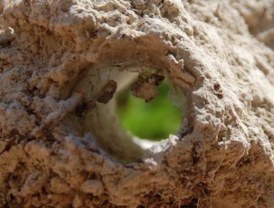 Teil einer Röhre.JPG (104.72 KiB) 2101 mal betrachtet Teil einer Röhre