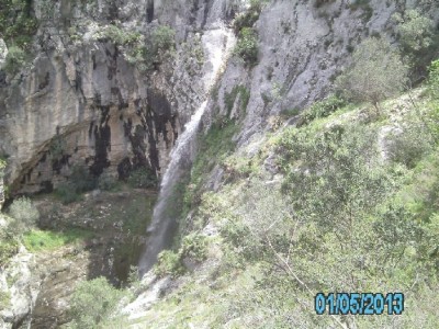 PICT2684.JPG