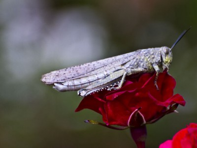 _MG_5644.jpg